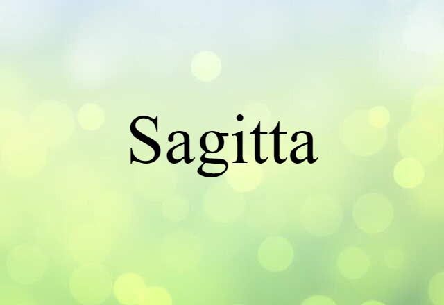 Sagitta (noun) Definition, Meaning & Examples