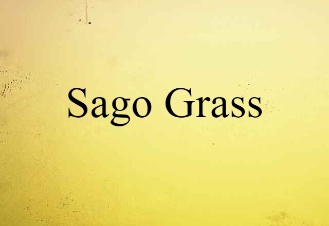 sago grass