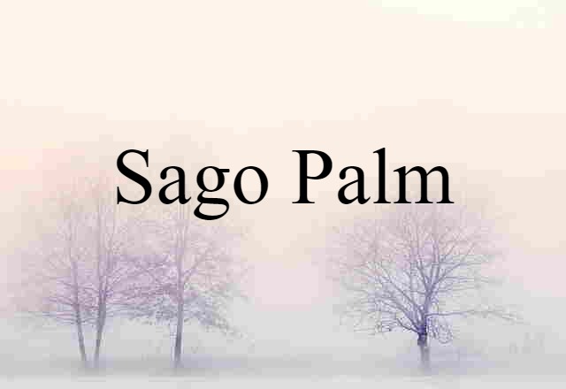 sago palm