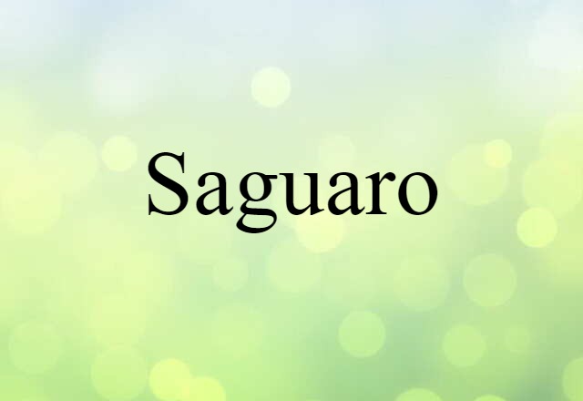 saguaro