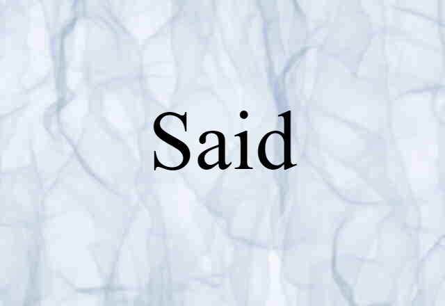 Said (noun) Definition, Meaning & Examples