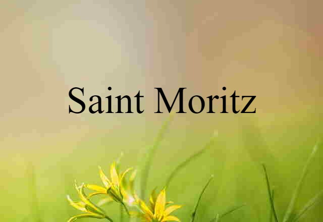 Saint Moritz (noun) Definition, Meaning & Examples