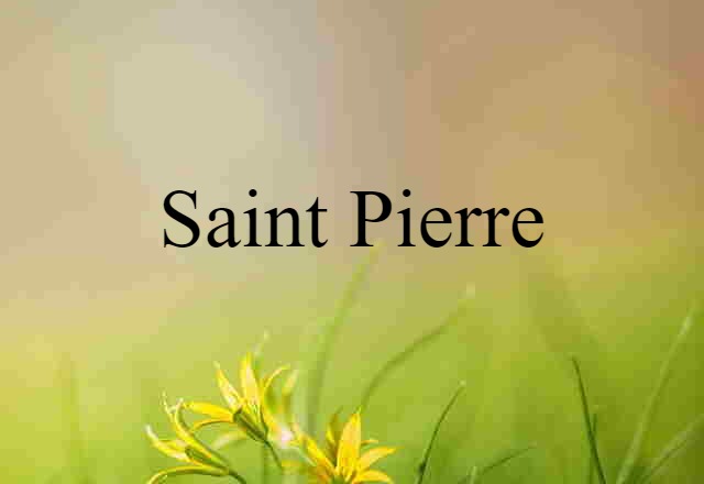 Saint-Pierre (noun) Definition, Meaning & Examples