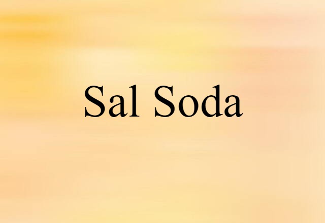 Sal Soda (noun) Definition, Meaning & Examples