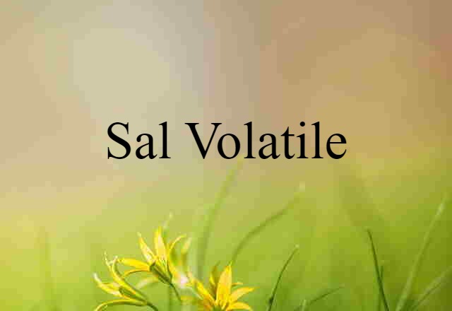 Sal Volatile (noun) Definition, Meaning & Examples