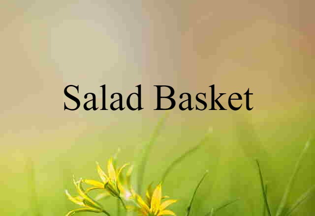 Salad Basket (noun) Definition, Meaning & Examples