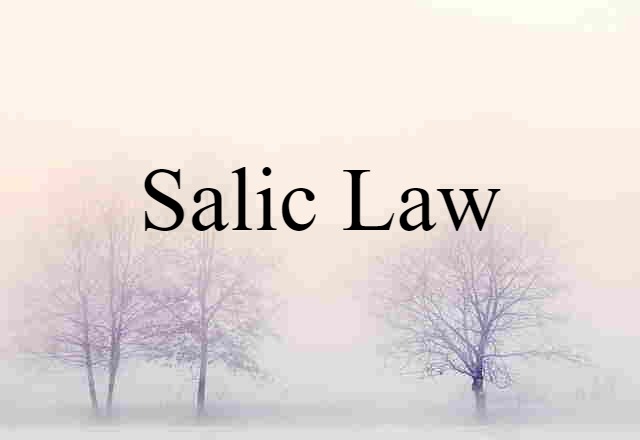 Salic Law (noun) Definition, Meaning & Examples