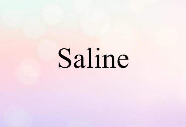 Saline (noun) Definition, Meaning & Examples