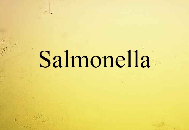 salmonella