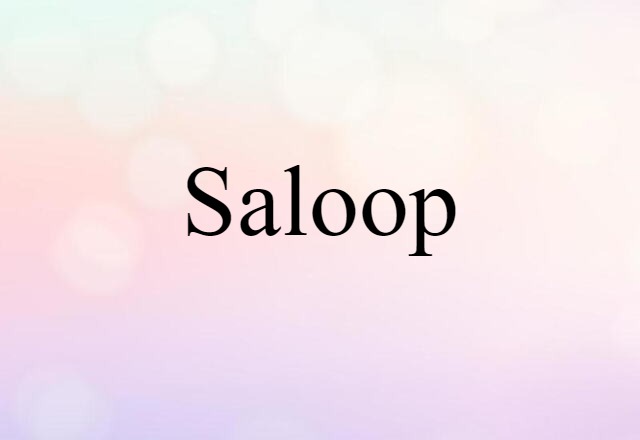 Saloop (noun) Definition, Meaning & Examples