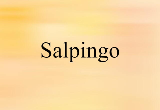 Salpingo (noun) Definition, Meaning & Examples