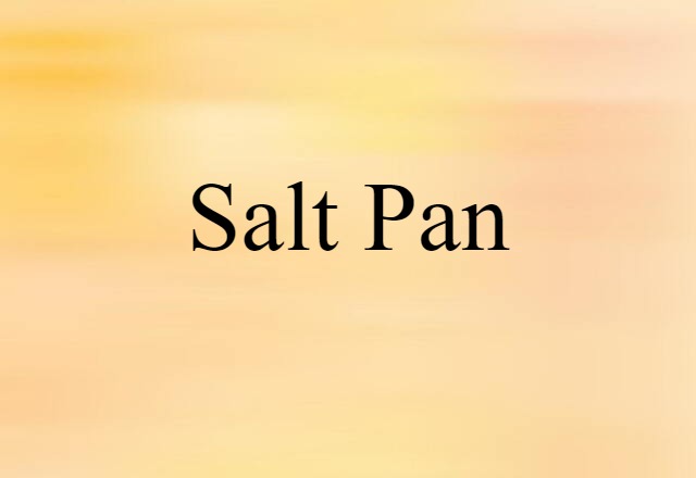 Salt Pan (noun) Definition, Meaning & Examples