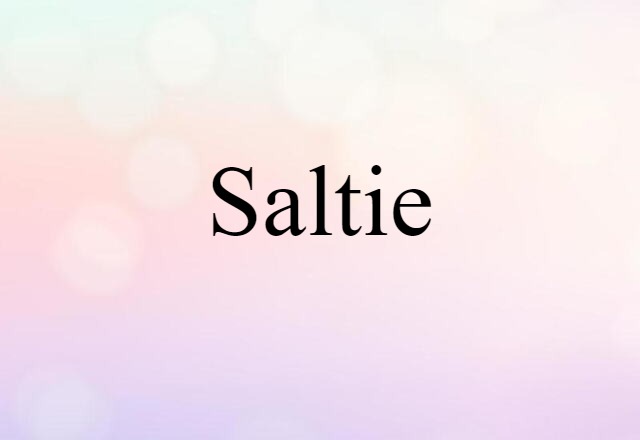 Saltie (noun) Definition, Meaning & Examples