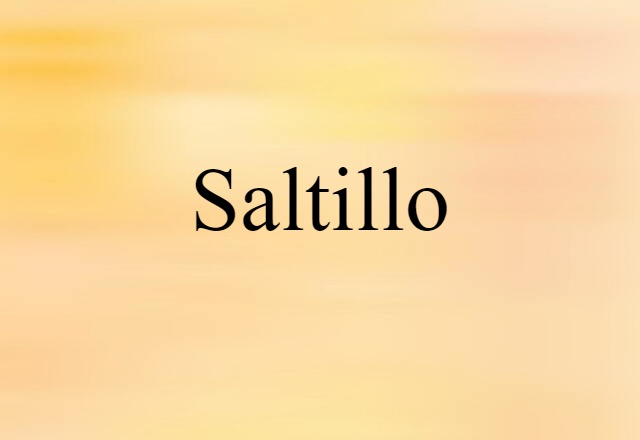 Saltillo (noun) Definition, Meaning & Examples