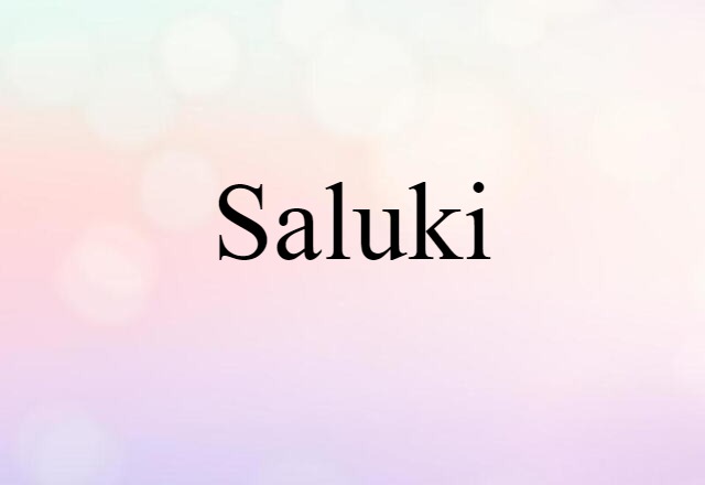 Saluki