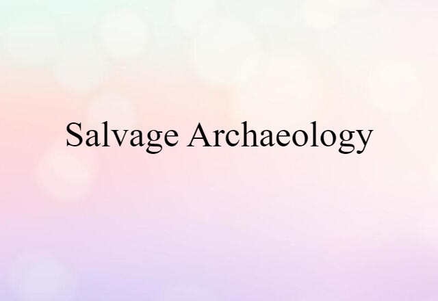 salvage archaeology