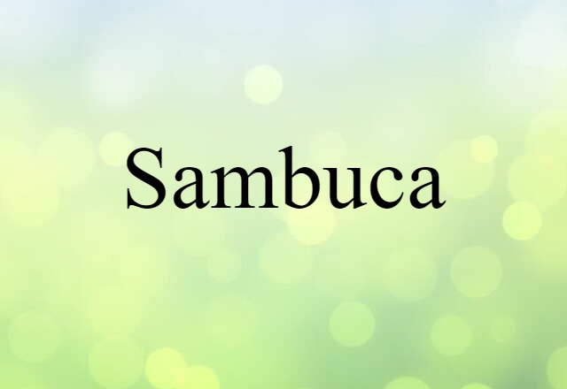 Sambuca (noun) Definition, Meaning & Examples