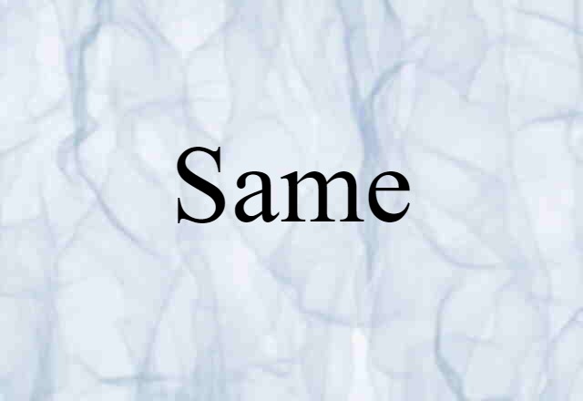 Same (noun) Definition, Meaning & Examples