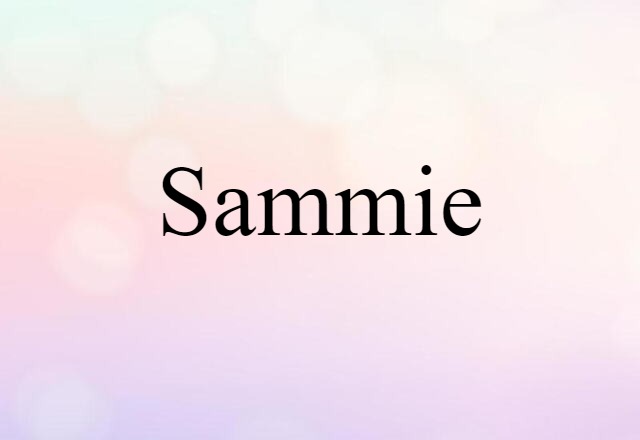 Sammie (noun) Definition, Meaning & Examples