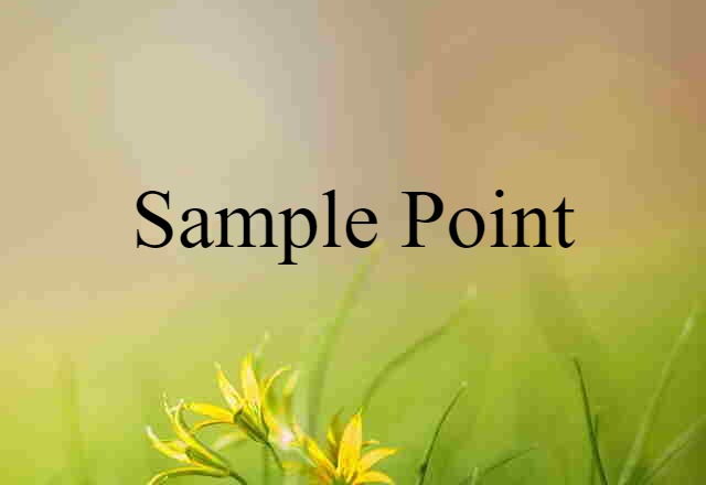 sample point