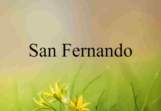 San Fernando (noun) Definition, Meaning & Examples