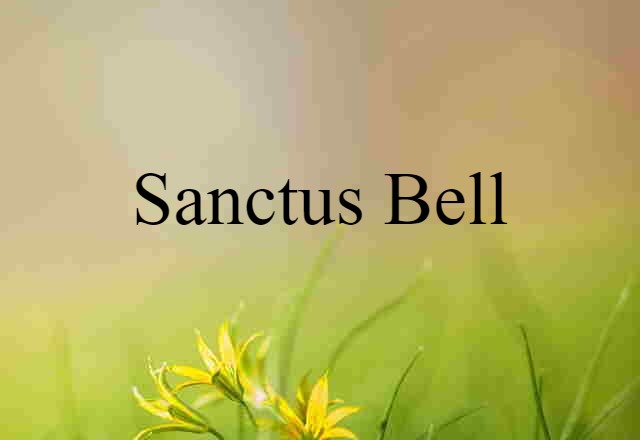 Sanctus Bell (noun) Definition, Meaning & Examples