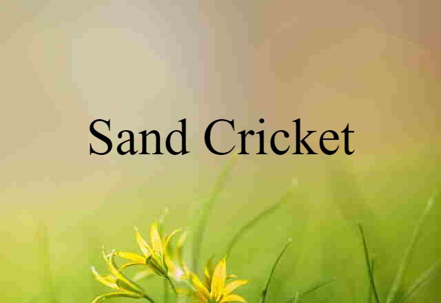 sand cricket