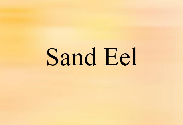 sand eel