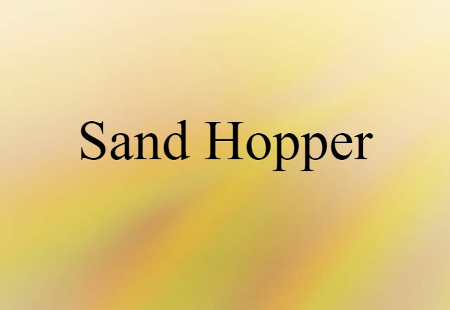 sand hopper