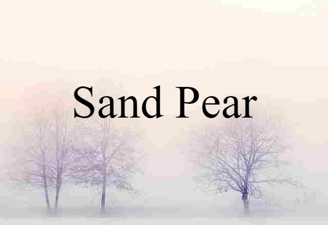 sand pear