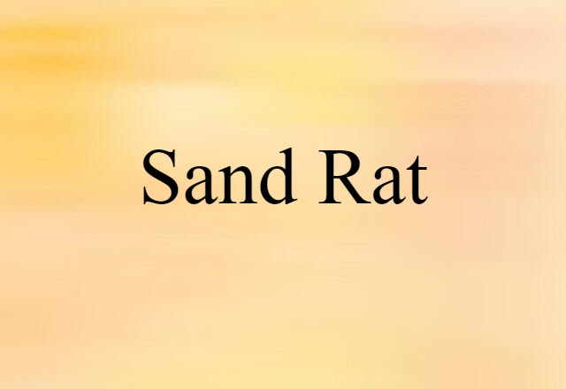 sand rat