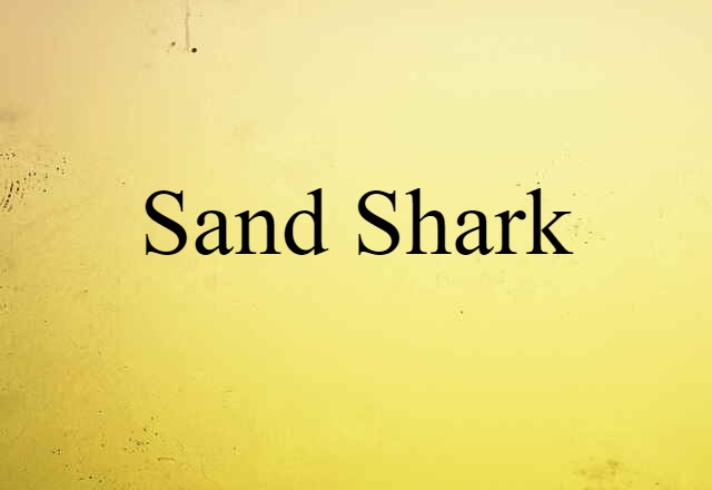 Sand Shark (noun) Definition, Meaning & Examples