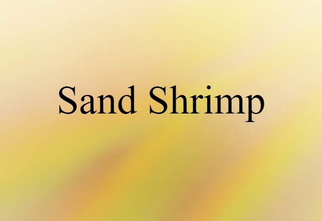 sand shrimp