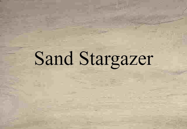 Sand Stargazer (noun) Definition, Meaning & Examples