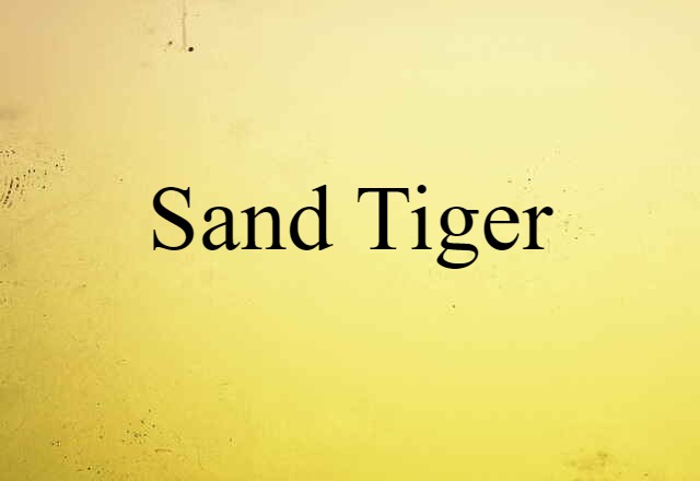 sand tiger