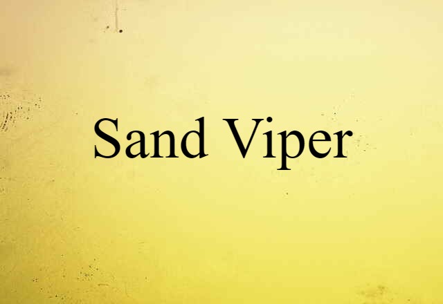 sand viper