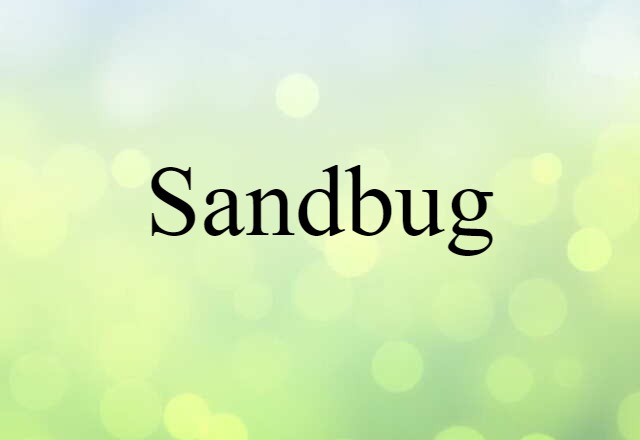 Sandbug (noun) Definition, Meaning & Examples