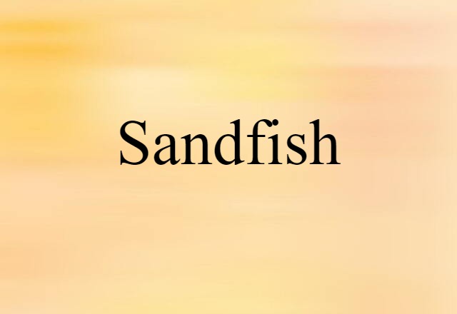 Sandfish (noun) Definition, Meaning & Examples