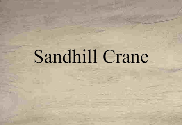 sandhill crane