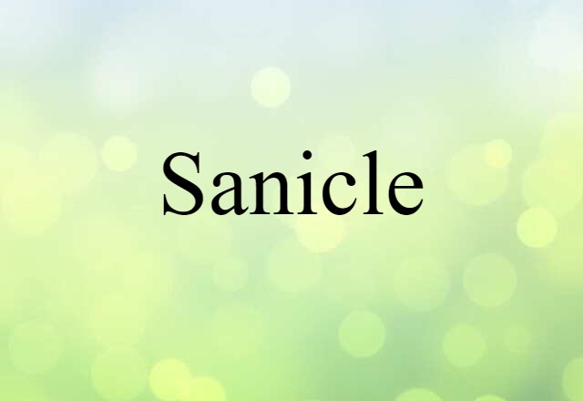 sanicle