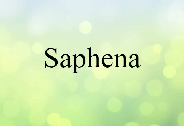 Saphena (noun) Definition, Meaning & Examples