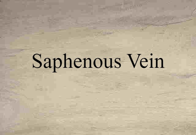 saphenous vein