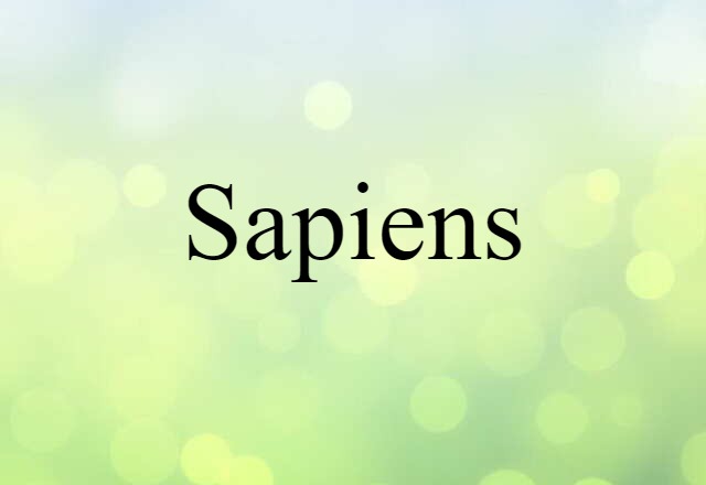 Sapiens (noun) Definition, Meaning & Examples