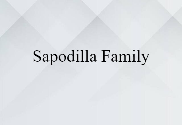 sapodilla family