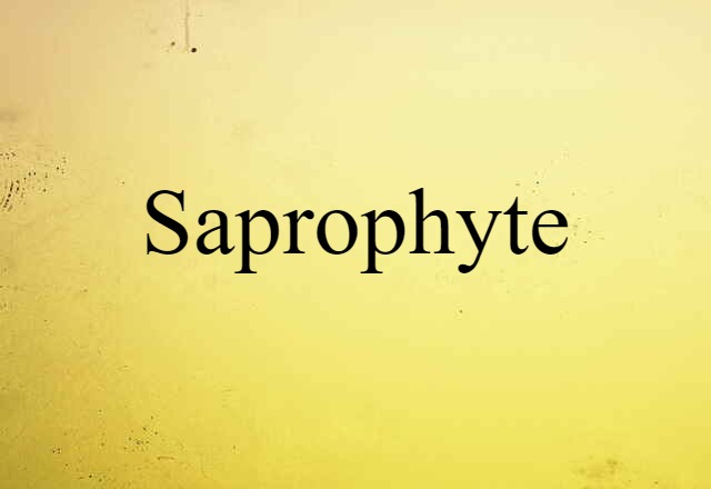 Saprophyte (noun) Definition, Meaning & Examples