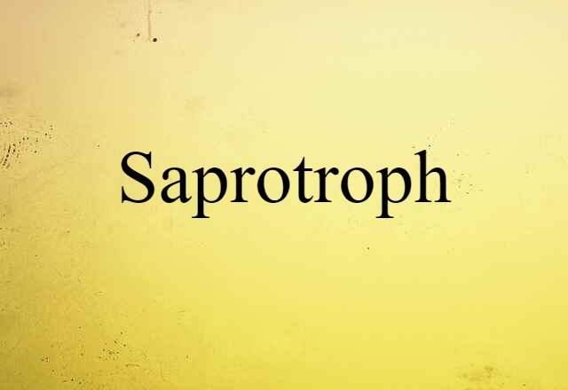 Saprotroph (noun) Definition, Meaning & Examples