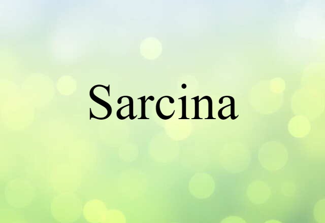 Sarcina (noun) Definition, Meaning & Examples