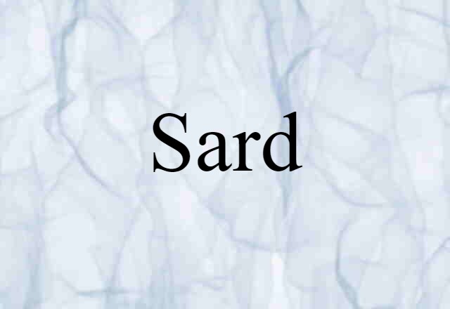 Sard (noun) Definition, Meaning & Examples