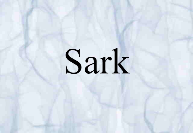 Sark (noun) Definition, Meaning & Examples