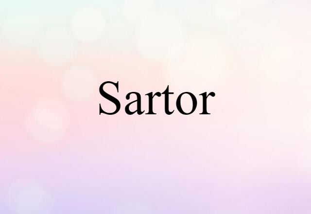 Sartor (noun) Definition, Meaning & Examples